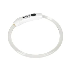 AniOne Securité Dans L'Obscurité|Promener Son Chiot^Anneau lumineux LED Dégradé de couleurs XS