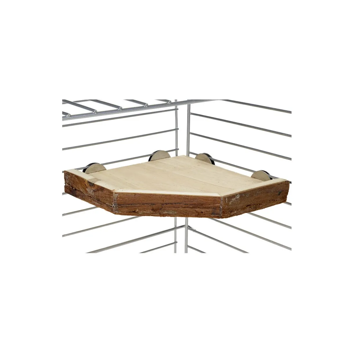 AniOne Souris|Hamsters^Banc Nils S