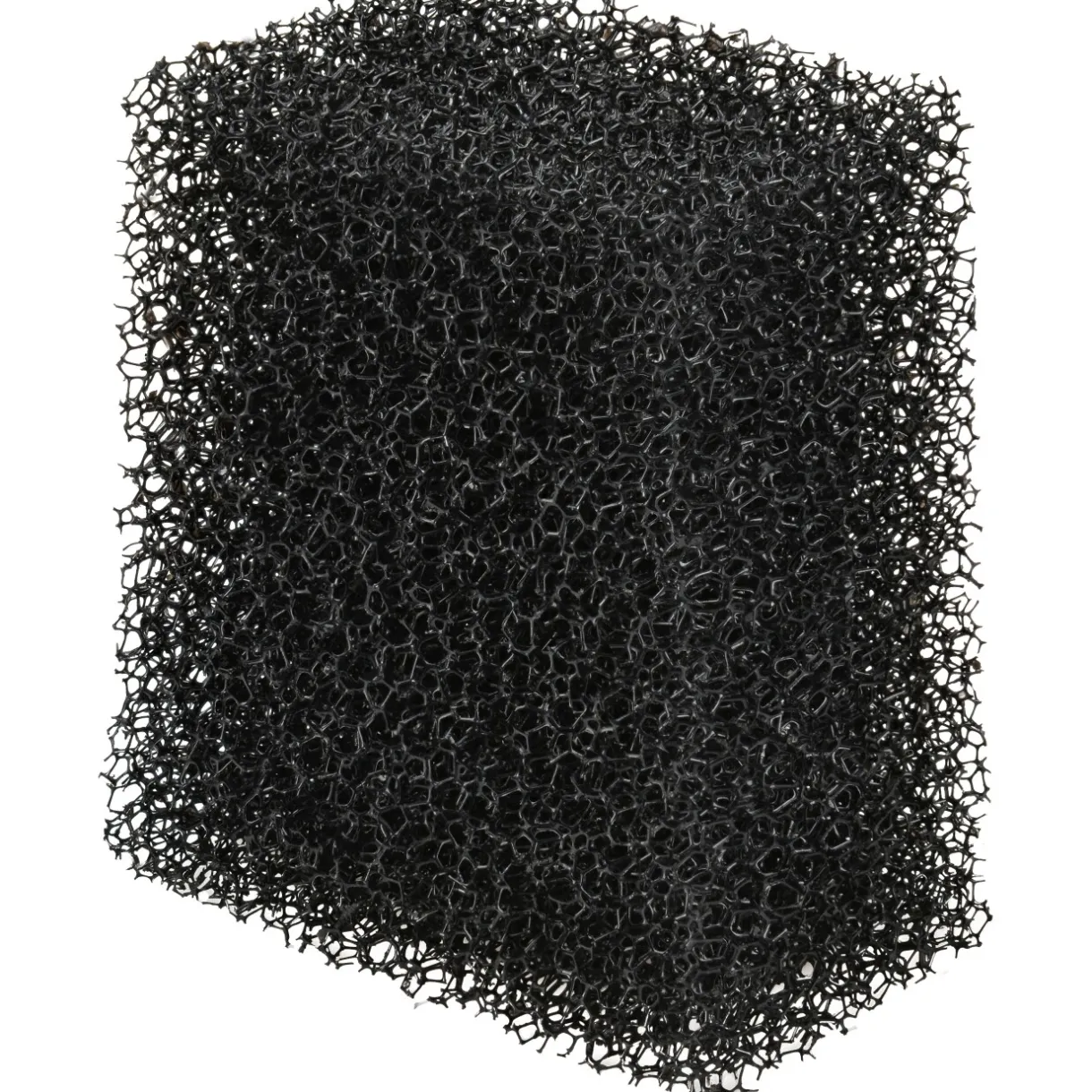 AniOne Filtre^éponge filtrante pour filtre intérieur 40