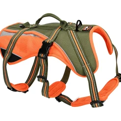 Dogs Creek Harnais Pour Chien|Promener Son Chiot^harnais de sécurité Revolution S