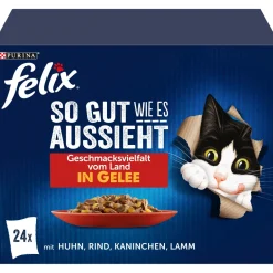 Felix Nourriture Humide^Aussi bon que beau 24 x 85 g Variété de saveurs du pays