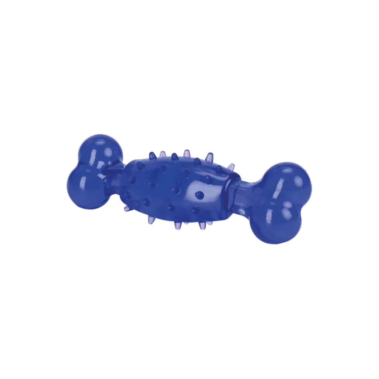 FIT+FUN Dentition Et Soins Dentaires|Jouets^Jouet os bleu