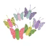 FIT+FUN Jouets^Jouet papillon