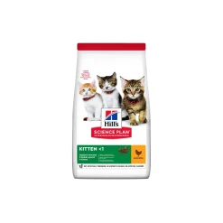Hill's Croquettes Pour Chat|Nourriture^Science Plan Kitten pour le développement Poulet 1,5 kg