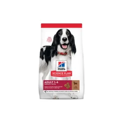 Hill's Croquettes^Science Plan Medium Adult 1-6 Agneau et riz 14 kg