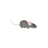 MORE Jouets Éléctroniques & Laserpointer|Jouets Souris Et Balles Pour Chats^Mouse Racer contrôlé par l’appli