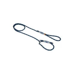 Laisses^plus de LIFESTYLEPETS laisse pour Retriever
