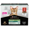 PRO PLAN Nourriture Humide^Adult Sterilised Maintenance Au Bœuf En Sauce 10 x 85 g