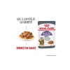ROYAL CANIN Nourriture Humide^Appetite Control Care 12 x 85 g