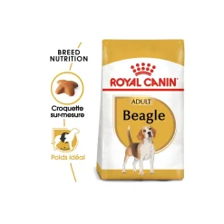 ROYAL CANIN Croquettes^Beagle Adulte Croquettes Chien 3 kg