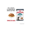 ROYAL CANIN Nourriture Humide^Care Hairball Adult en sauce 12x85 g