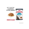 ROYAL CANIN Nourriture Humide^Care Urinary en sauce 12x85 g