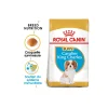 ROYAL CANIN Croquettes|Nourriture^Cavalier King Charles Chiot Croquettes Chien 1,5 kg