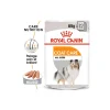 ROYAL CANIN Nourriture Humide^Coat Care Adult Mousse 12x85 g