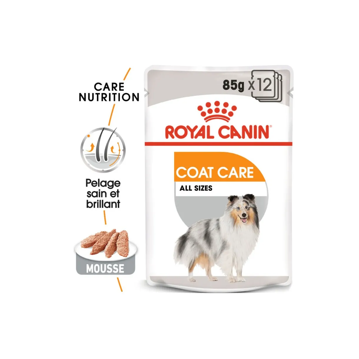 ROYAL CANIN Nourriture Humide^Coat Care Adult Mousse 12x85 g