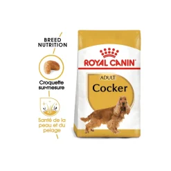 ROYAL CANIN Croquettes^Cocker Adulte Croquettes Chien 3 kg