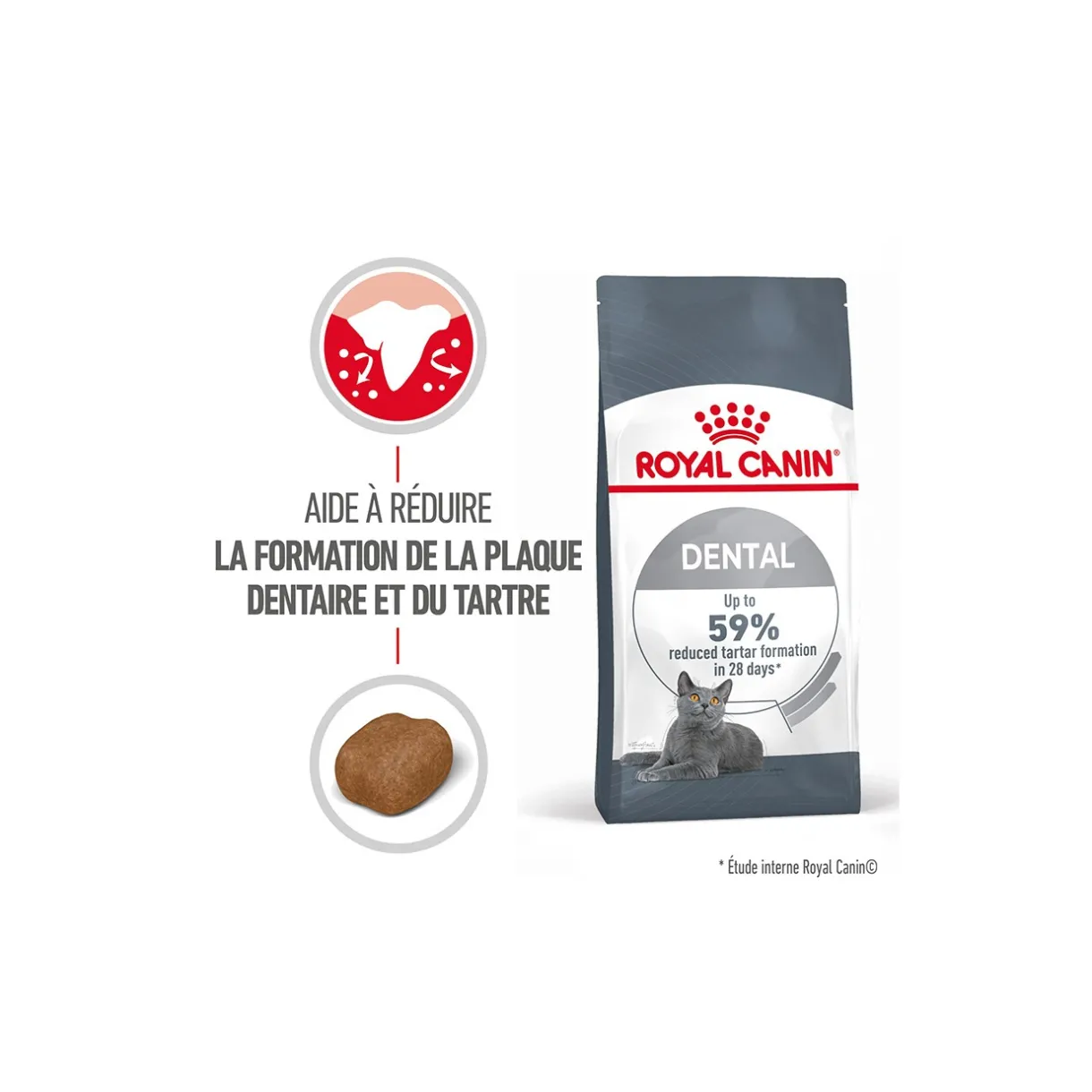 ROYAL CANIN Croquettes Pour Chat^Dental Care Croquettes Chat 400 g