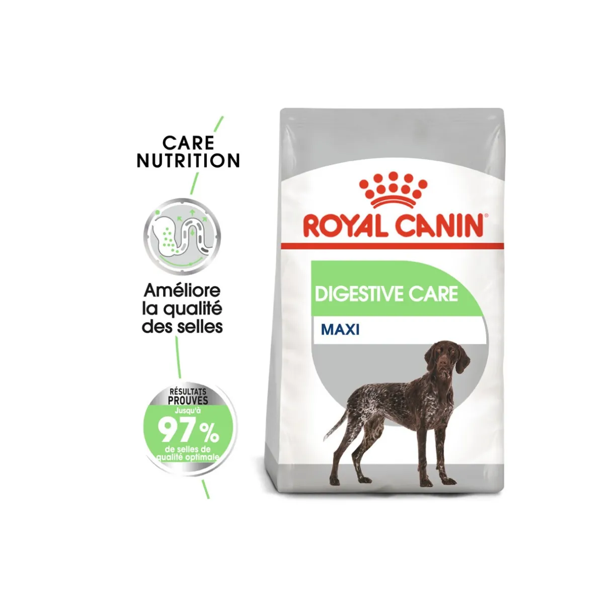 ROYAL CANIN Croquettes^Digestive Care Maxi 3 kg