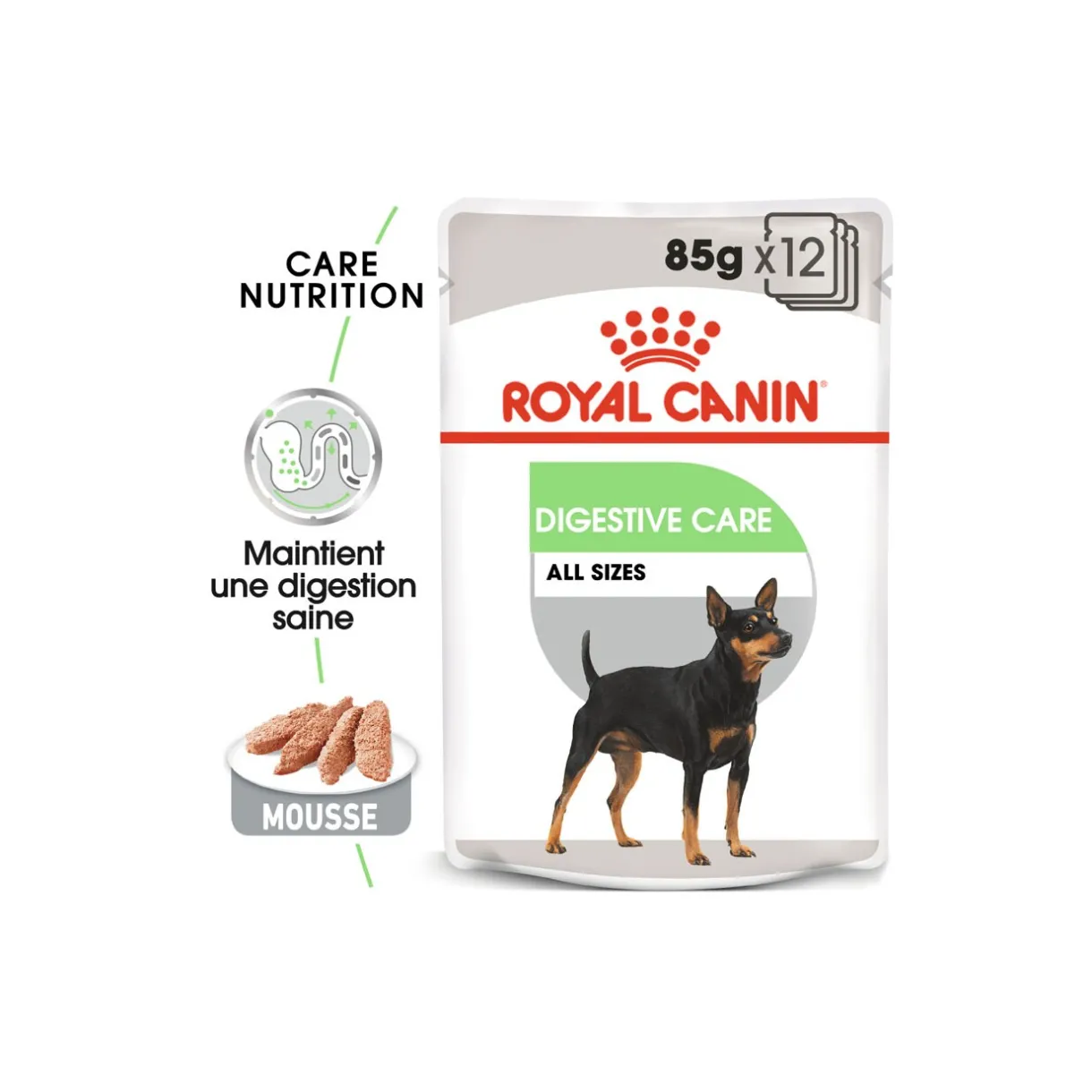 ROYAL CANIN Nourriture Humide^Digestive Care Adult Mousse 12x85 g