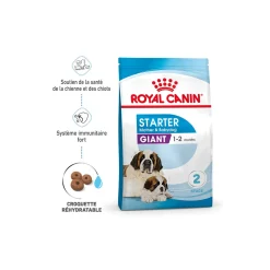 ROYAL CANIN Croquettes|Nourriture^Giant Starter Croquettes Chien 15 kg