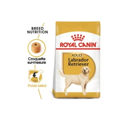 ROYAL CANIN Croquettes^Labrador Retriever Adulte 12 kg