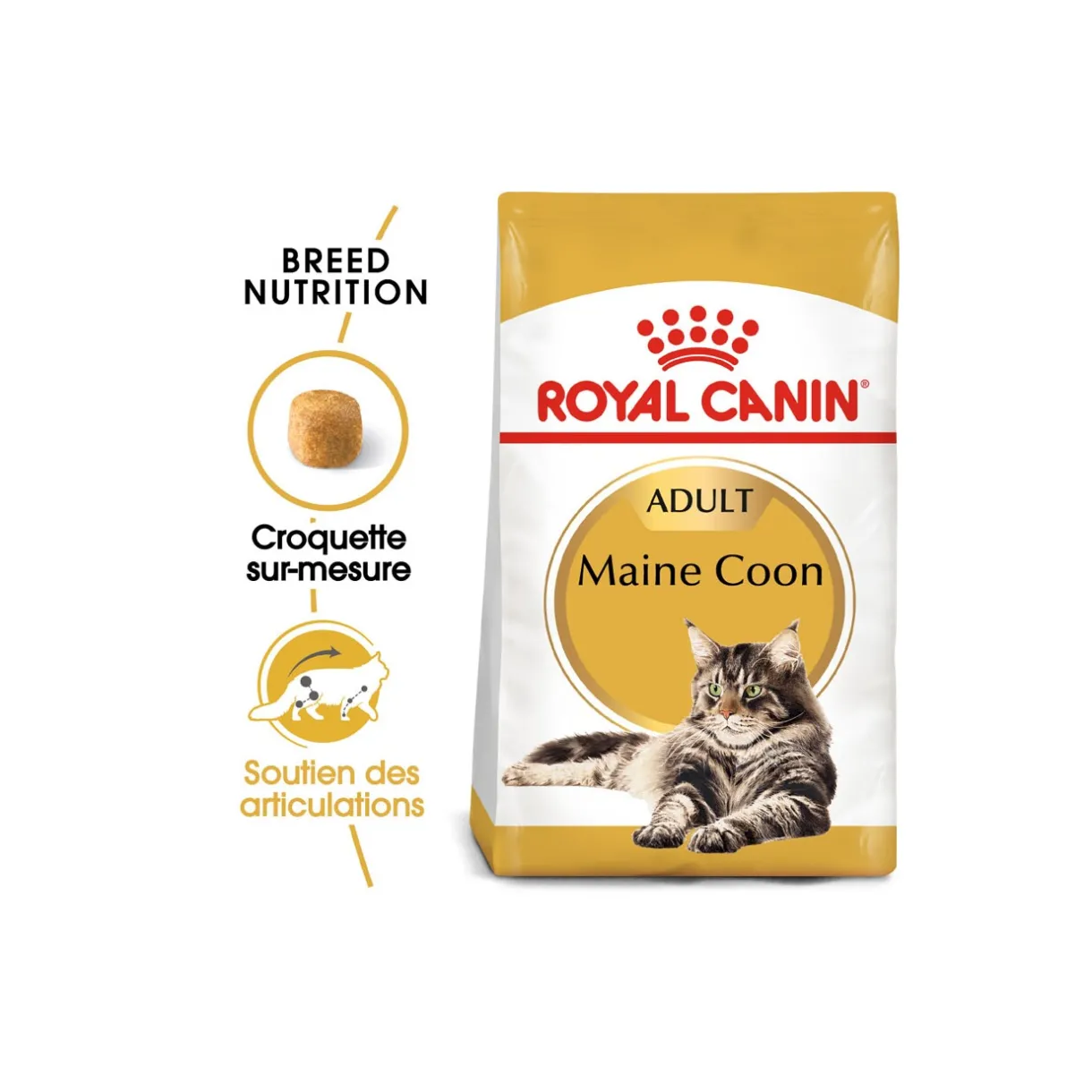 ROYAL CANIN Croquettes Pour Chat^Maine Coon Adulte Croquettes Chat 10 kg