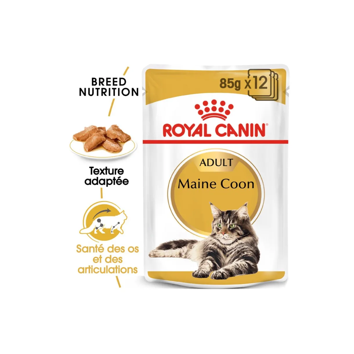 ROYAL CANIN Nourriture Humide^Maine Coon Adult en sauce 12x85 g
