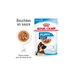 ROYAL CANIN Nourriture Humide|Nourriture^Maxi Chiot Nourriture humide Chien 10 x 140 g