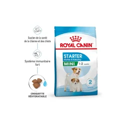 ROYAL CANIN Croquettes|Nourriture^Mini Starter Croquettes Chien 4 kg