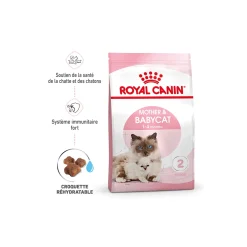 ROYAL CANIN Croquettes Pour Chat|Nourriture^Mother & Babycat Croquettes Chat 400 g