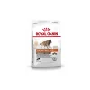ROYAL CANIN Croquettes^ÉNERGIE 4300 (TRAIL) 15 kg