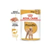 ROYAL CANIN Nourriture Humide^Poodle Adult en sauce 12x85 g