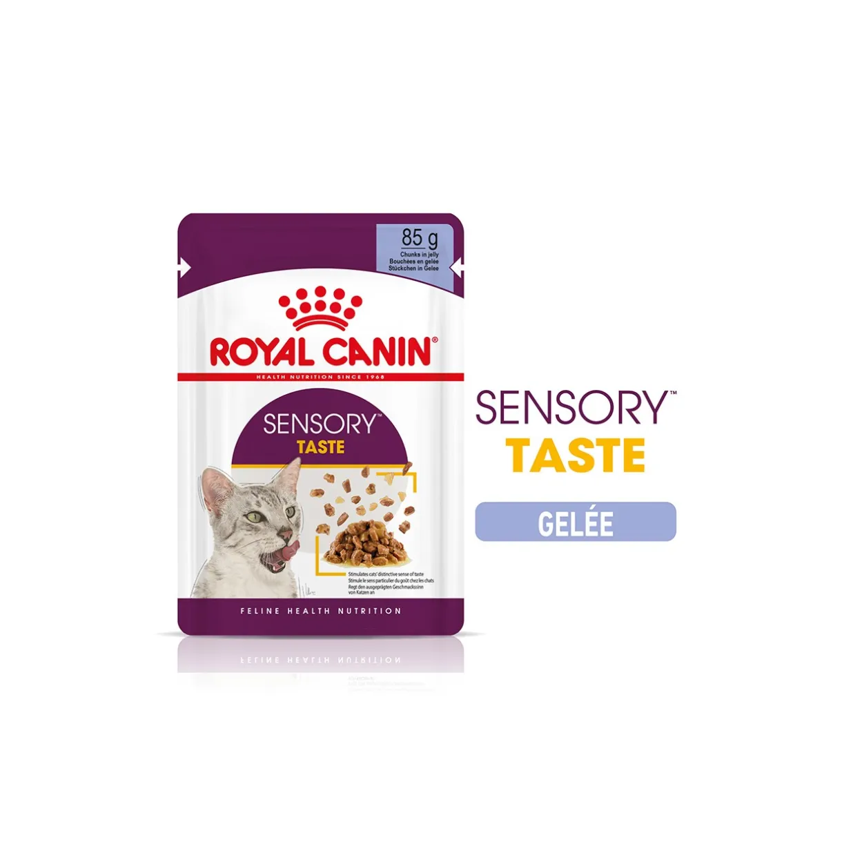ROYAL CANIN Nourriture Humide^Sensory Taste Nourriture humide Chat 12 x 85 g
