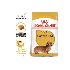 ROYAL CANIN Croquettes^Teckel Adulte Croquettes Chien 1,5 kg