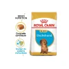 ROYAL CANIN Croquettes|Nourriture^Teckel Chiot Croquettes Chien 1,5 kg