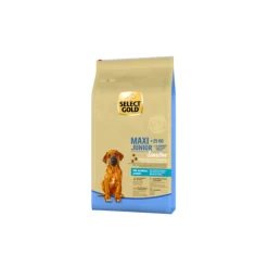 SELECT GOLD Croquettes|Nourriture^Sensitive Maxi Junior insecte 12 kg 12 kg