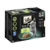 Sheba Nourriture Humide|Nourriture^Multipack Kitten en sauce et fine variété au saumon, au poulet MSC 12 x 85 g