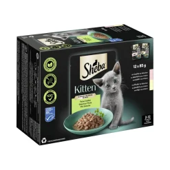 Sheba Nourriture Humide|Nourriture^Multipack Kitten en sauce et fine variété au saumon, au poulet MSC 12 x 85 g