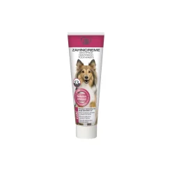 TAKE CARE Soins Dentaires|Dentition Et Soins Dentaires^Dentifrice 100 ml