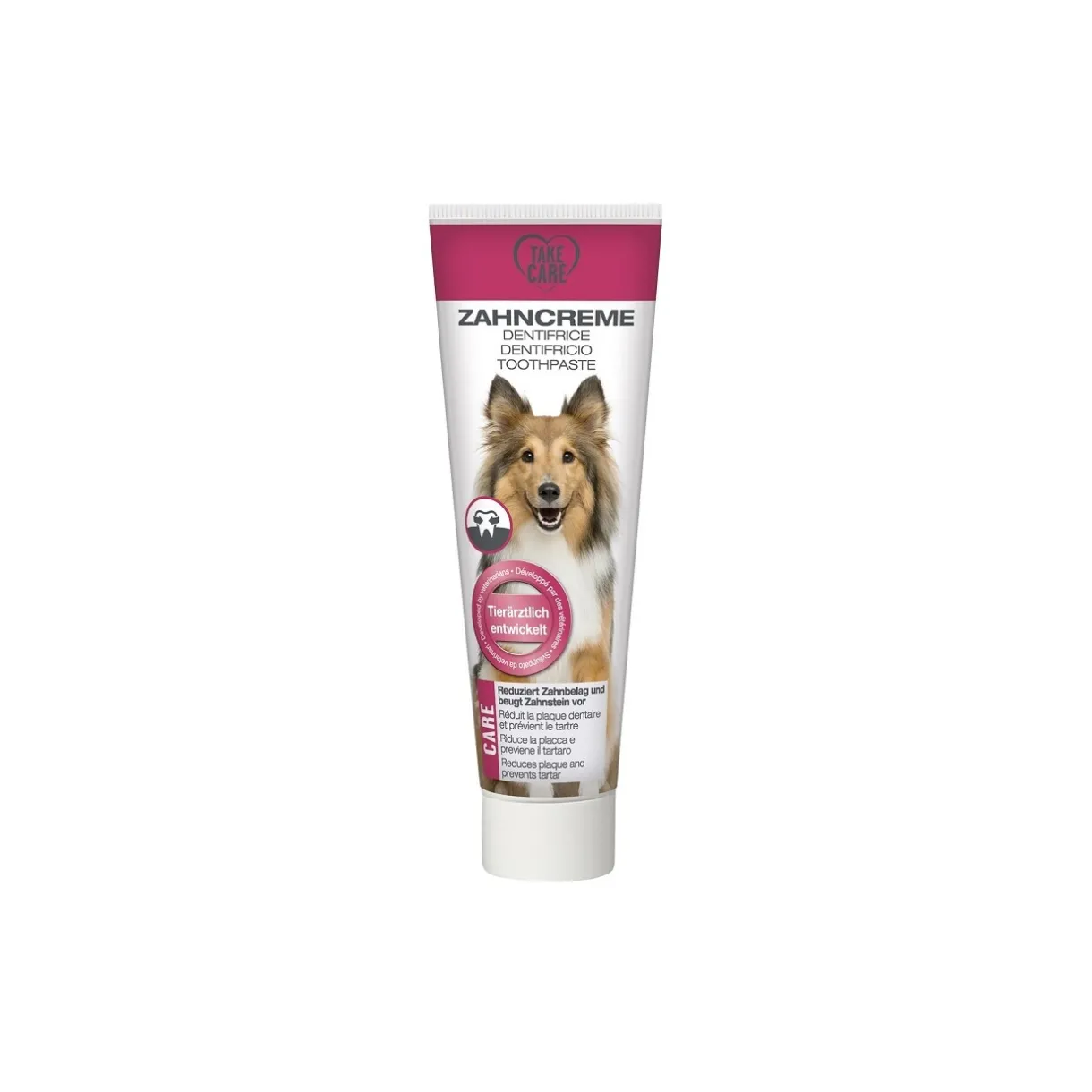 TAKE CARE Soins Dentaires|Dentition Et Soins Dentaires^Dentifrice 100 ml