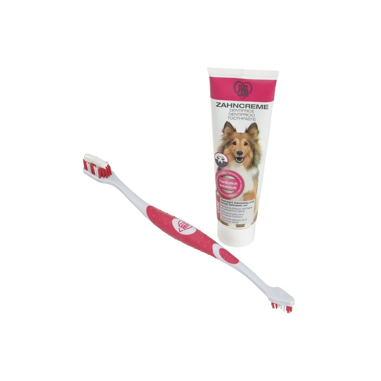 TAKE CARE Soins Dentaires|Dentition Et Soins Dentaires^Kit de soin dentaire