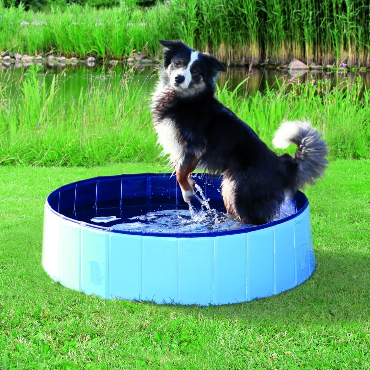Trixie Jouets Aquatiques^Piscine pour chien 80 cm