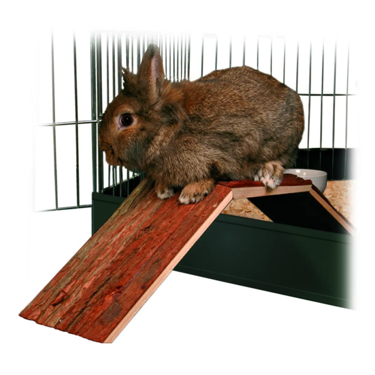 Trixie Dègues Du Chili|Chinchillas^Pont de cage Natural Living