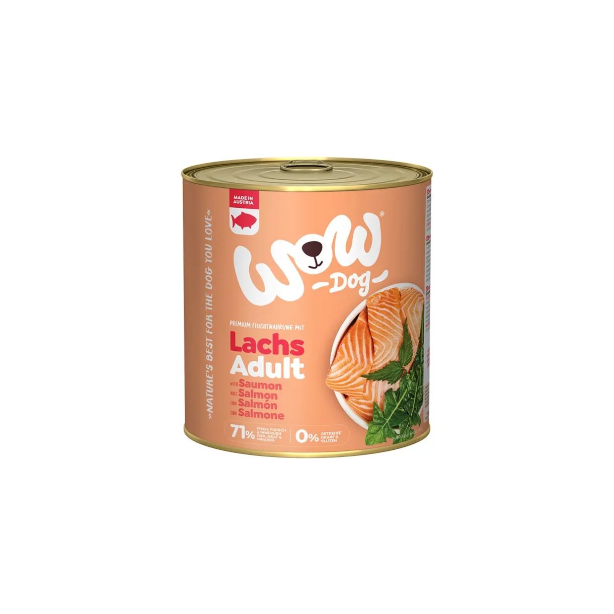 WOW Nourriture Humide^nourriture humide pour chien, adulte 6x800 g Saumon et pissenlit